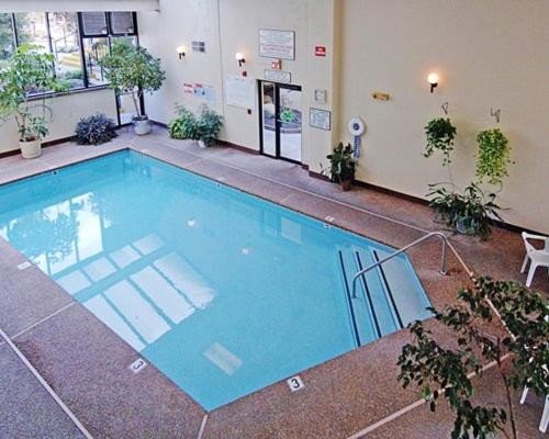 Secluded Family Condo in the Beauty of the Smokies - One Bedroom #1 - image 5