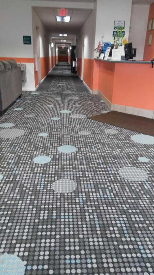 President Inn & Suites - image 2