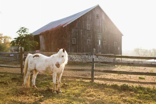 Battlefield Bed & Breakfast - image 10