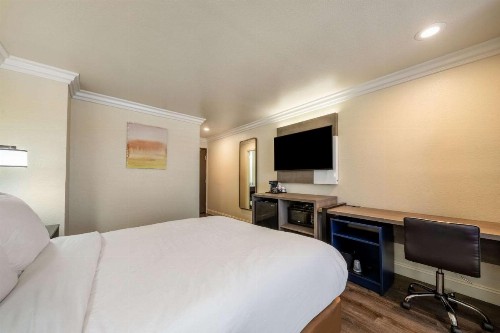 The Inn at 8435 - image 12