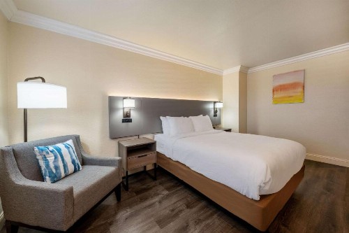 The Inn at 8435 - image 32