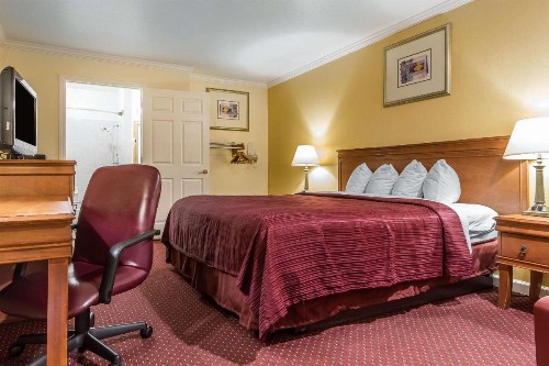 Quality Inn & Suites Gilroy - image 12