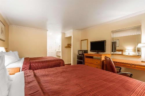 Quality Inn & Suites Gilroy - image 17