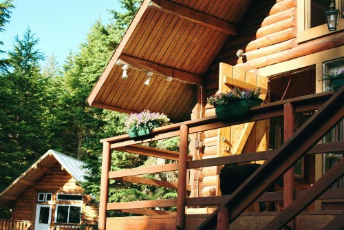 Alyeska Cabin - image 6