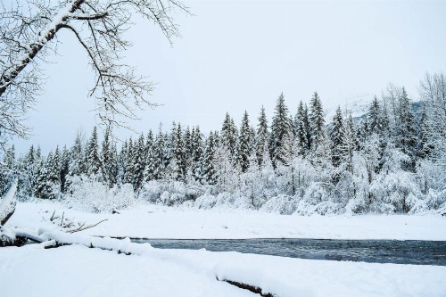 Jewel Chalet - image 10