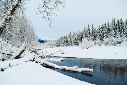 Jewel Chalet - image 8