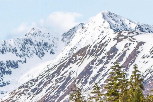 Snowbird Condo #170-D - image 2
