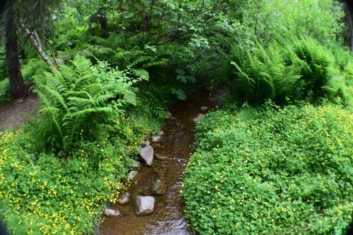 Loveland Cottage - image 10