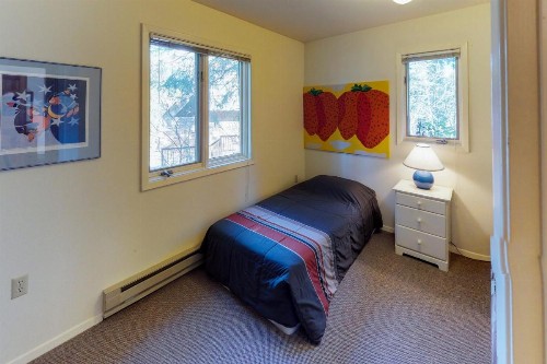 Mountain Creek Chalet - image 5