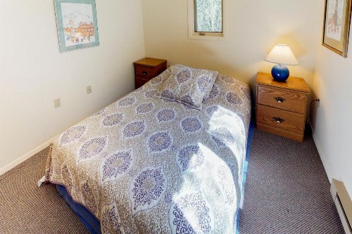 Mountain Creek Chalet - image 6