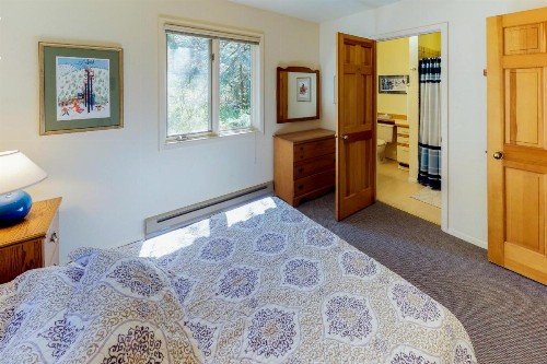Mountain Creek Chalet - image 7