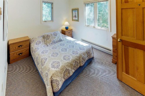 Mountain Creek Chalet - image 9