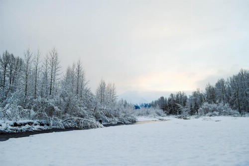 Alyeska North #400 - image 7