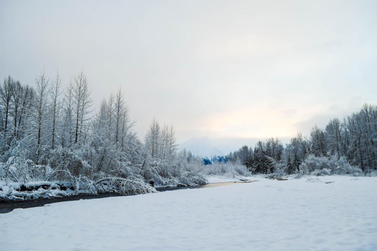 Alyeska North #400 - image 7