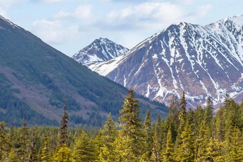 Alyeska North #400 - image 9