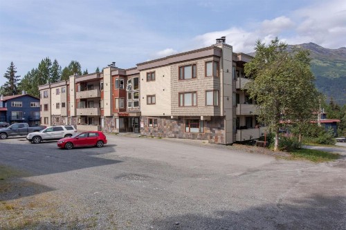 Timberline 208 - image 6