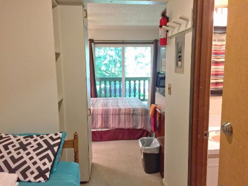 #09 - Snowline Lodge - image 6
