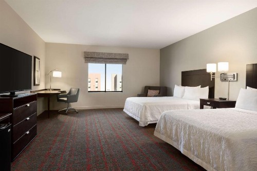 Hampton Inn & Suites Phoenix Glendale-Westgate - image 21