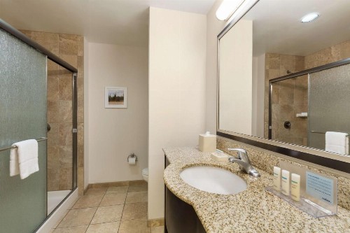 Hampton Inn & Suites Phoenix Glendale-Westgate - image 23