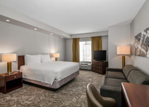 SpringHill Suites Phoenix Glendale Sports & Entertainment District - image 3