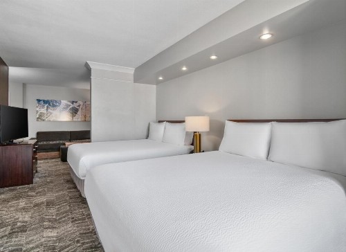 SpringHill Suites Phoenix Glendale Sports & Entertainment District - image 4