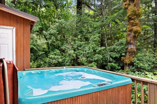 Rustic River Paradise - 1 Bed 2 Bath Vacation home in Baring - image 11