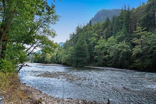 Rustic River Paradise - 1 Bed 2 Bath Vacation home in Baring - image 5