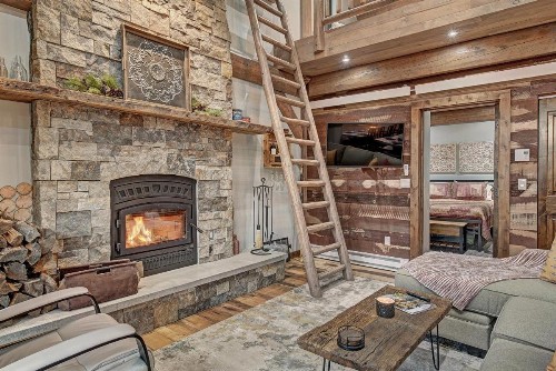 SkyRun Cabin cabin - image 7