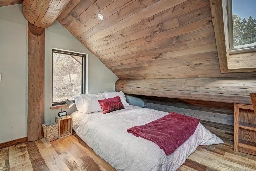 SkyRun Cabin cabin - image 8