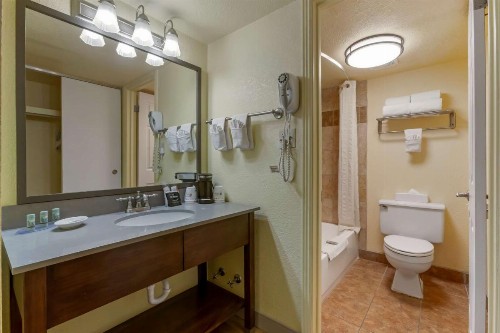 Best Western Phoenix Goodyear Inn - image 10