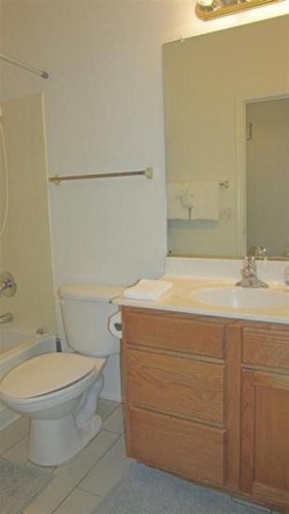 1216 N 158th Dr Goodyear - image 14
