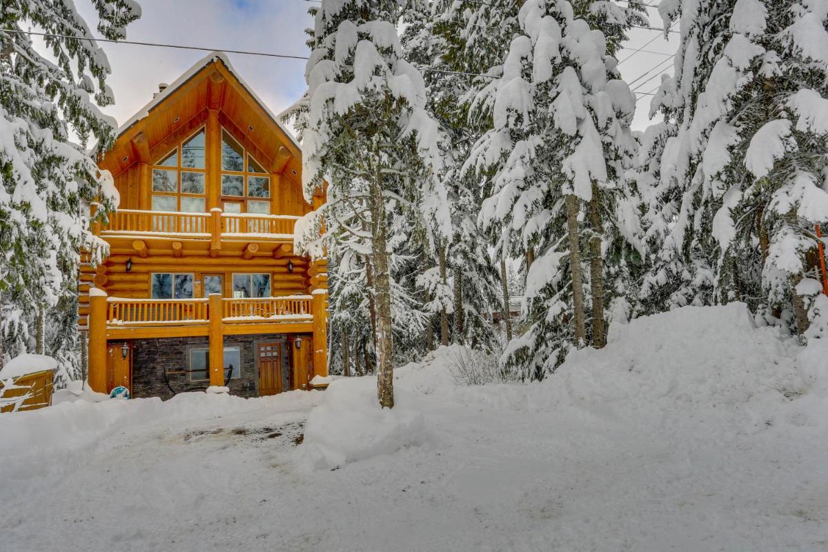 Skiing Bear Chalet - main image