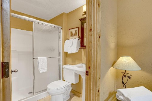 Skiing Bear Chalet - image 12