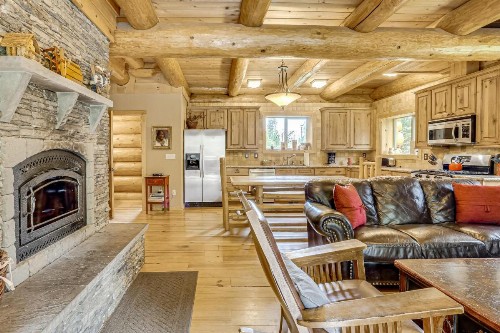 Skiing Bear Chalet - image 6