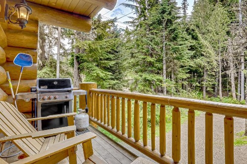 Skiing Bear Chalet - image 7