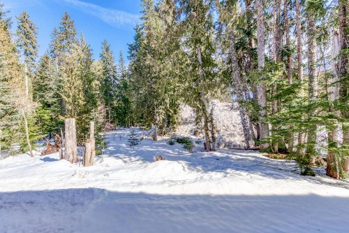 The Chefs Chalet at Collins Lake - image 10