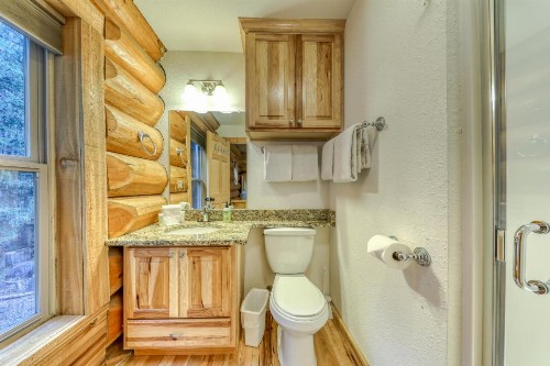 Big Bear Cabin - image 9