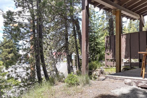 Flying Stag: Main Lodge - image 7