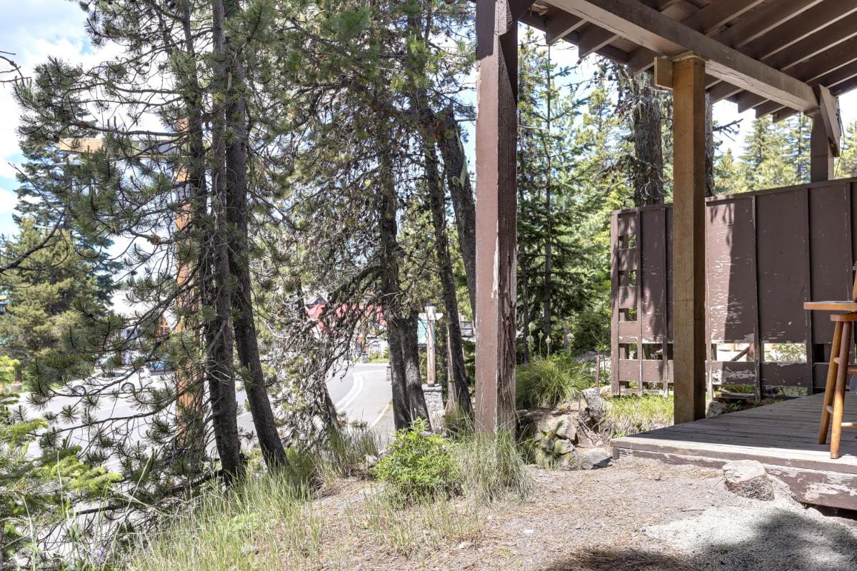 Flying Stag: Main Lodge - image 7