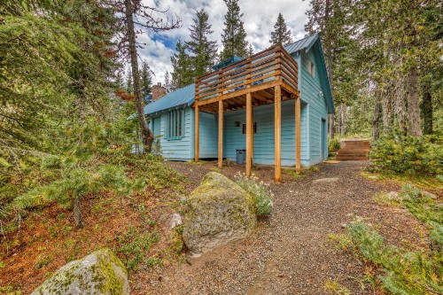 3Dogs Cabin