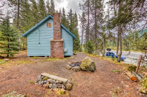 3Dogs Cabin - image 6