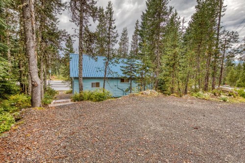3Dogs Cabin - image 7