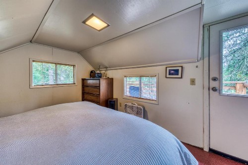 3Dogs Cabin - image 8