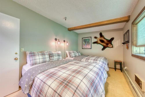 SkiWay Lodge at Thunderhead - image 11