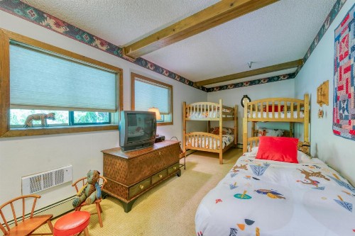 SkiWay Lodge at Thunderhead - image 12