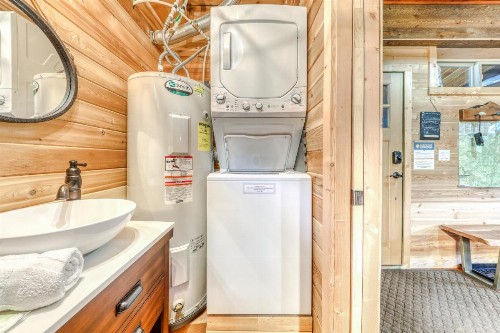 Wy'east Nest - image 11