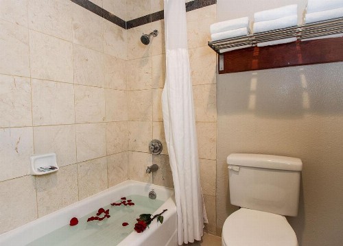 Granada Inn - image 27