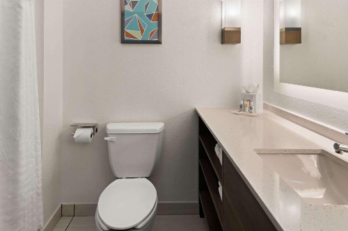 Comfort Suites Granbury - image 12
