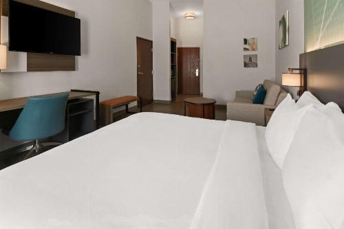 Comfort Suites Granbury - image 16