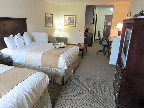 Best Western Granbury Inn and Suites - image 28